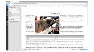 Zoho Docs - Writer new interface