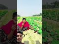 #shortsfeed #funny #viralshorts #shorts #comedy #ytshorts