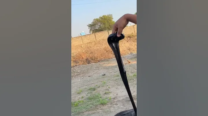 Sourav joshi ne snake pakad liya #shorts