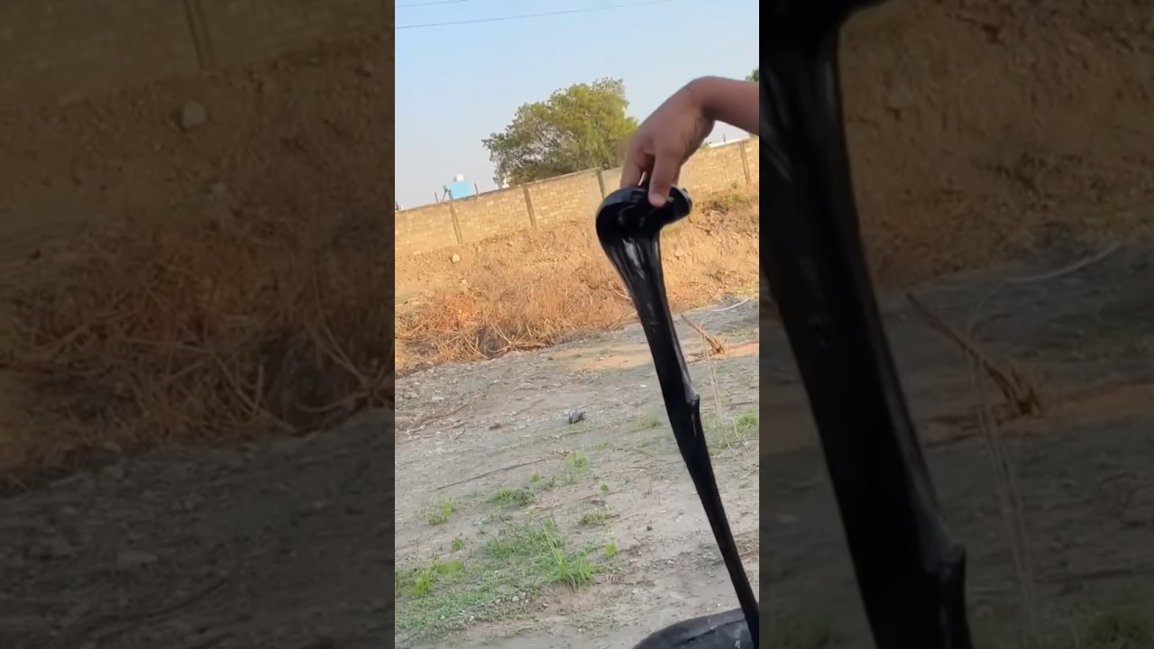 Sourav joshi ne snake pakad liya 