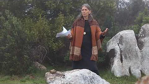 Sarah Vollmer presents the Turtle Island stone dur...