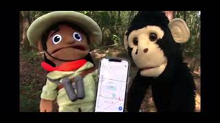 Windowa sings Google Maps (SML)