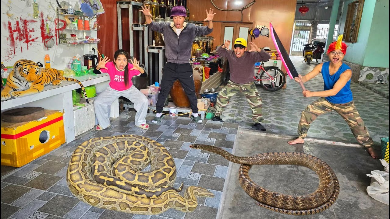 3 Brave Expert Rescues Young Girl From Giant Anaconda