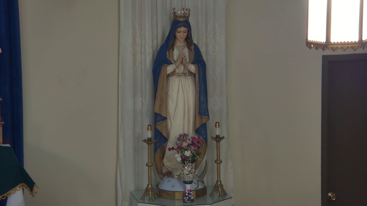 Rosary, November 23, 2024