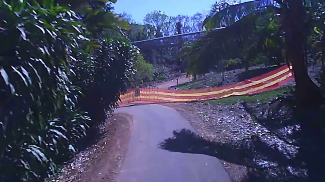 Darwin botanic gardens - random path