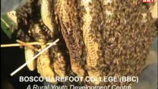 Bosco Barefoot College