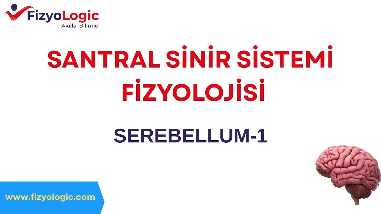 Fizyologic Santral Sinir Sistemi Fizyolojisi  / Serebellum-1