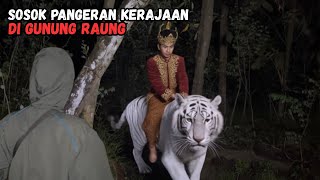 Download Lagu MERINDING‼️MELIHAT PANGERAN KERAJAAN MENAIKI SEEKOR HARIMAU MP3
