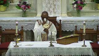 Corpus Christi Sunday - June 7, 2026 - Our Lady of Consolation Church