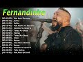 Fernandinho Gundi - Materyal