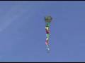3-D Nylon Cobra Kite