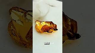 He Found GOLD Inside an Oreo Package?!