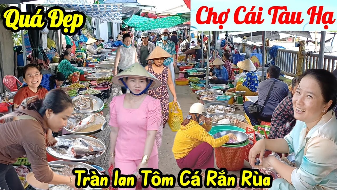 Quá khủng, Rắn, Rùa tôm Cá bao la ,Chợ Cái Tàu Hạ -  Đồng Tháp ,toàn là Đặc Sản Thiên Nhiên 