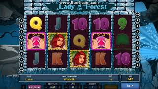 Lady of the Forest Play Money Casino Community Casoony with 100 Free Spins Casino Bonus screenshot 4