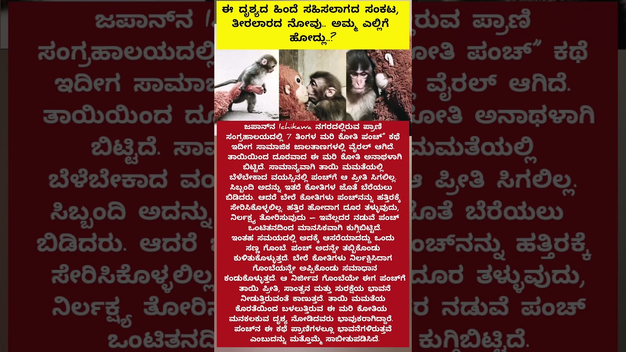 ಈ ದೃಶ್ಯದ ಹಿಂದೆ ಸಹಿಸಲಾಗದ ಸಂಕಟ, ತೀರಲಾರದ ನೋವು ಅಮ್ಮ ಎಲ್ಲಿಗೆ ಹೋದ್ಲು..? 