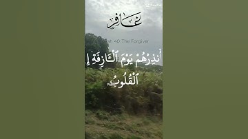 القران الكريم 🙏 راحه نفسيه 🤲🌲🌳