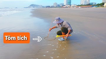 Đi câu tôm tích - Phần 4 - Nhận biết hang tôm tích và tổng hợp cách câu tôm tích