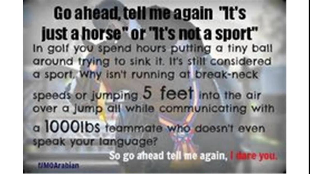 horse riding not a sport YouTube