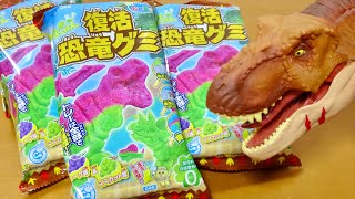 復活!恐竜グミ 知育菓子 恐竜トレーは全5種類 めっちゃかぶってしまった!作った恐竜の出来は・・・