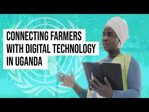 Uganda: connecting farmers with digital technology | united nations