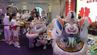 Human Mobile Stage 116A, 2017 Chau Lung Banquet & 100th Anniversary of Chau Ka, Kung Fu Lion Dance