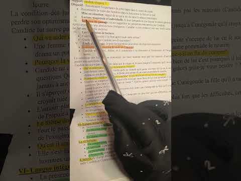 2bac + bac libre candide ou l' optimisme analyse: chapitre 7 تحليل الفصل السابع question/réponse