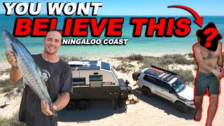 Famous fishing YouTuber takes me fishing Exmouth / 4x4 &amp; offroad caravan
