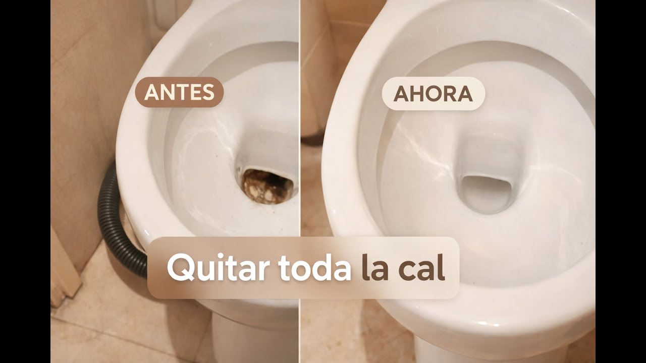 ⚠️ La cal del WC desaparece así (sin frotar)