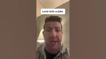 Knock Knock Dogs Funny Shorts 