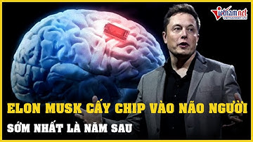 Sớm nhất năm sau, Elon Musk cấy chip máy tính vào não người