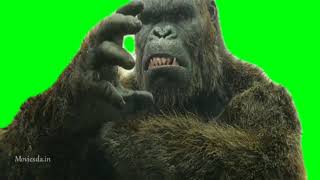 kong with sound effect green screen