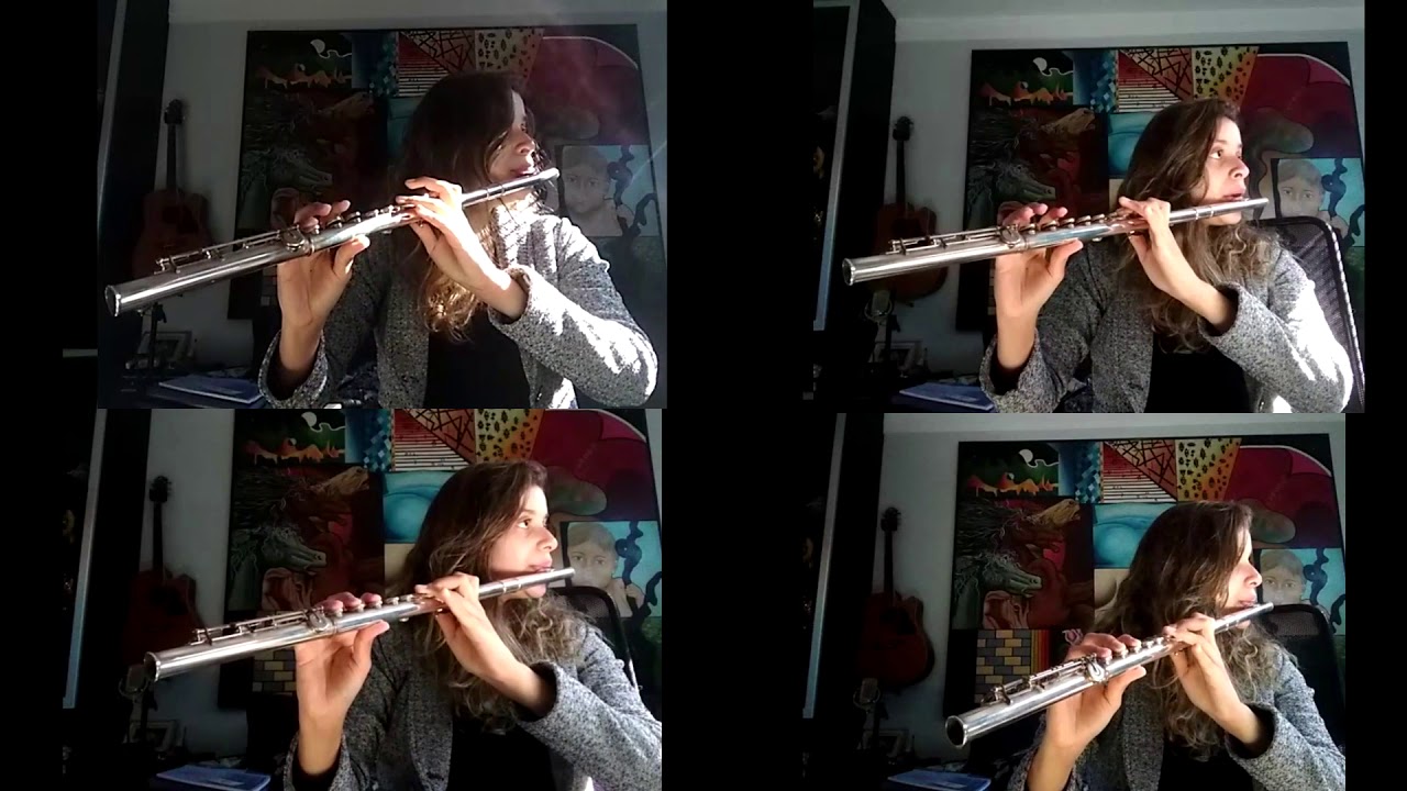 Jurassic Park Theme Flute Quartet YouTube