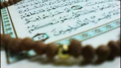 سورة الصافات برواية البزي عن ابن كثير   محمد العبدالله