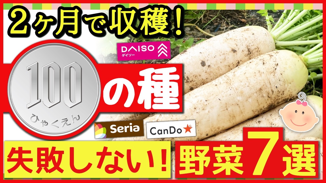 【ダイソーの種】家庭菜園でとんでもなく良く育つ野菜7選！プランターでも簡単に収穫できる100均の種
