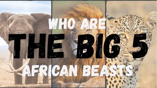 The Big 5: Africa’s Most Iconic Beasts - A Short Documentary