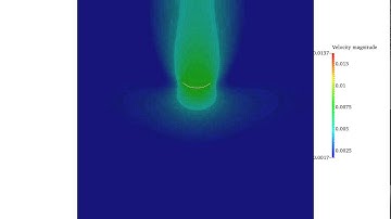Free fall of a deformable body: lattice boltzmann-immersed boundary-finite element approach
