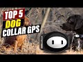 Top 5 Dog GPS Trackers: Reviews & Comparisons