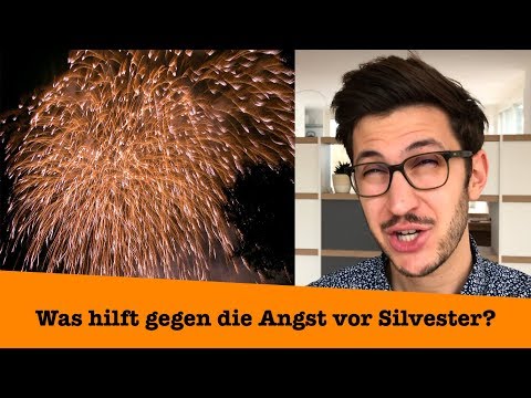 Mein Hund hat Angst an Silvester! Was hilft?