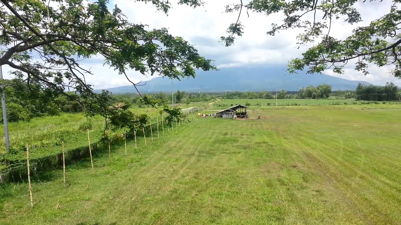 subdivision Lots for sale in Pacol 750sqm for only P600k YouTube