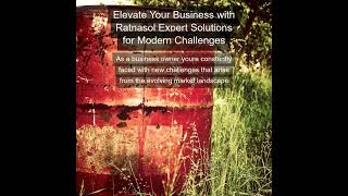 Elevate Your Business with Ratnasol Expert Solutions for Modern Challenges