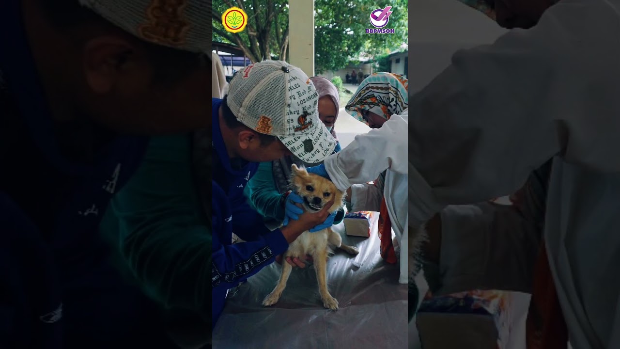 Vaksinasi Rabies Gratis memperingati World Rabies Day