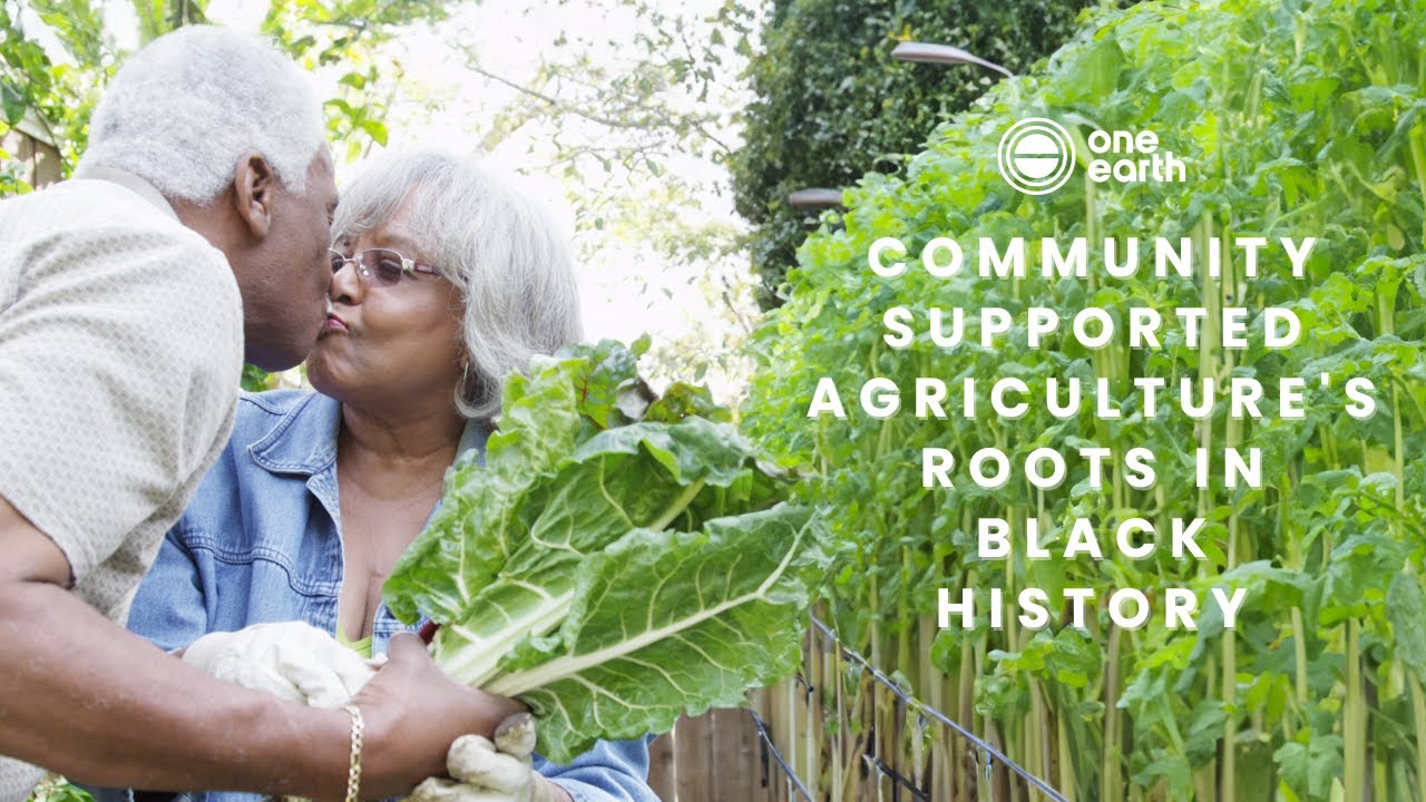 Historical Roots One Earth | Community Supported Agriculture's roots in Black History ...