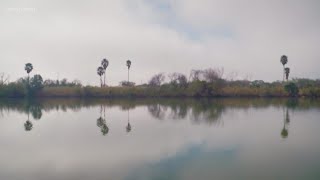 At least eight migrants dead after attempting hazardous crossing of Rio Grande