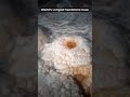 Are you ready to uncover a hidden World? #KremPuri- the world's longest sandstone cave!