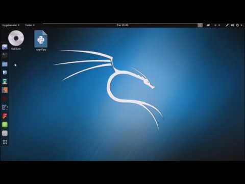TUTORIAL - Shell finder 2017
