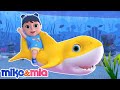 🔴LIVE - Baby Shark + More Kids Songs and Nursery Rhymes