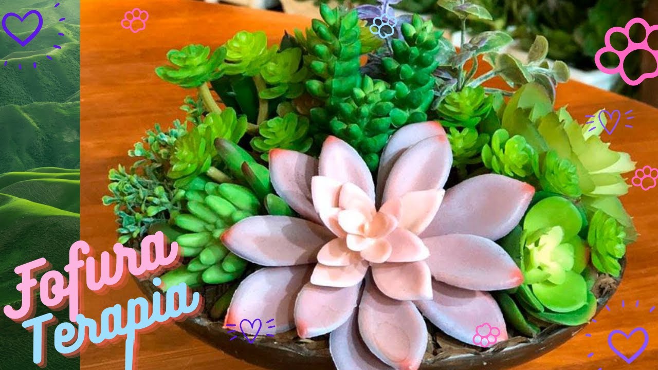 Suculenta em Biscuit Muito Fácil de Fazer