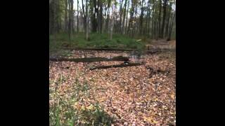 Hydrology video IMG_0631.MOV