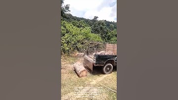 Massive Log Loading: Teamwork Makes the Dream Work!