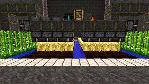 Over Thinking Wheat Farm